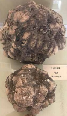 Geod